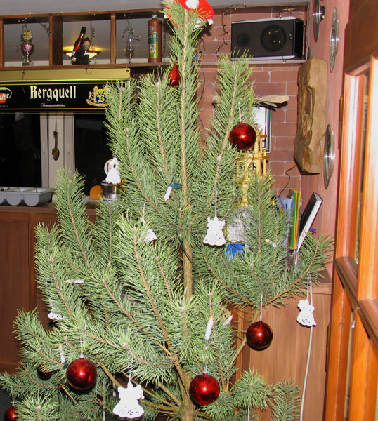 Weihnachtsfeier 2010